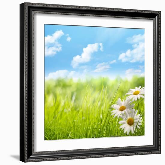 Natural Background with Daisy Flower on Grass-Liang Zhang-Framed Photographic Print