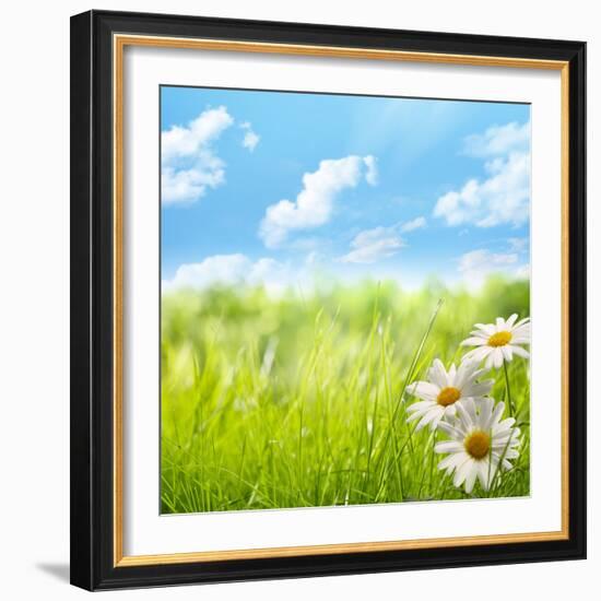 Natural Background with Daisy Flower on Grass-Liang Zhang-Framed Photographic Print