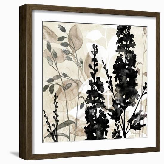 Natural Botanical 3-Melissa Pluch-Framed Premium Giclee Print