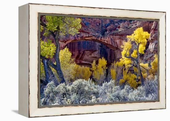 Natural Bridge in Grand Staircase-Escalante NM, Utah, USA-Scott T. Smith-Framed Premier Image Canvas