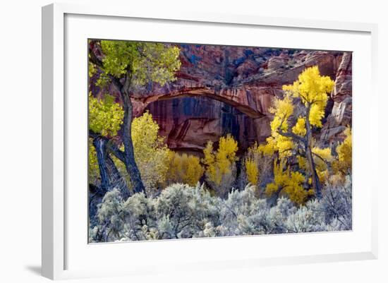 Natural Bridge in Grand Staircase-Escalante NM, Utah, USA-Scott T. Smith-Framed Photographic Print