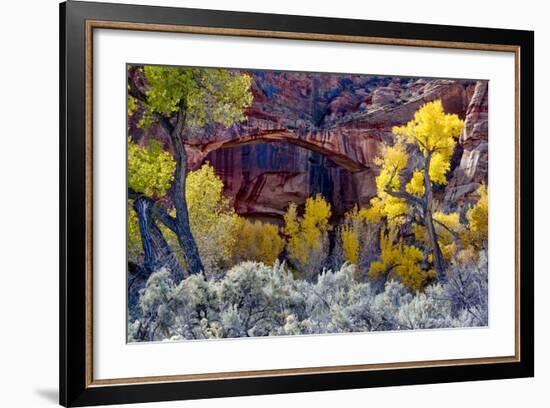 Natural Bridge in Grand Staircase-Escalante NM, Utah, USA-Scott T. Smith-Framed Photographic Print