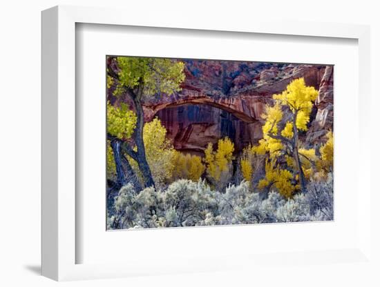 Natural Bridge in Grand Staircase-Escalante NM, Utah, USA-Scott T. Smith-Framed Photographic Print