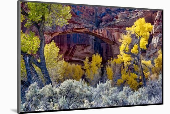 Natural Bridge in Grand Staircase-Escalante NM, Utah, USA-Scott T. Smith-Mounted Photographic Print