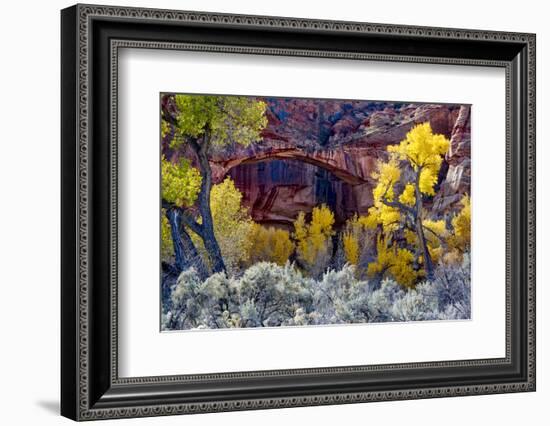 Natural Bridge in Grand Staircase-Escalante NM, Utah, USA-Scott T. Smith-Framed Photographic Print