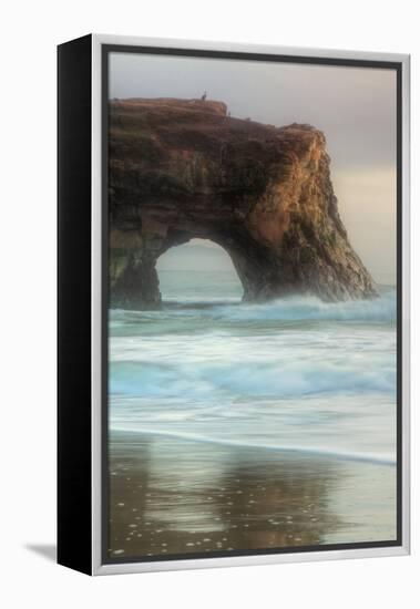 Natural Bridge Portrait, Santa Cruz-Vincent James-Framed Premier Image Canvas