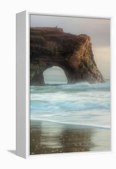 Natural Bridge Portrait, Santa Cruz-Vincent James-Framed Premier Image Canvas