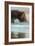 Natural Bridge Portrait, Santa Cruz-Vincent James-Framed Photographic Print