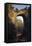 Natural Bridge, Virginia-Frederic Edwin Church-Framed Stretched Canvas