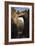 Natural Bridge, Virginia-Frederic Edwin Church-Framed Art Print