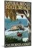 Natural Bridges State Beach, California Coast-Lantern Press-Mounted Art Print