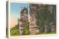 Stretched Canvas Print