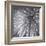 Natural Designs II-Assaf Frank-Framed Giclee Print