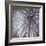 Natural Designs II-Assaf Frank-Framed Giclee Print