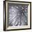 Natural Designs II-Assaf Frank-Framed Giclee Print