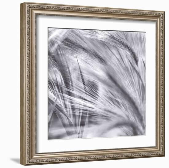 Natural Designs IV-Assaf Frank-Framed Giclee Print