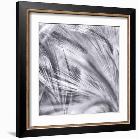 Natural Designs IV-Assaf Frank-Framed Giclee Print