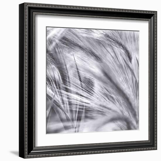 Natural Designs IV-Assaf Frank-Framed Giclee Print