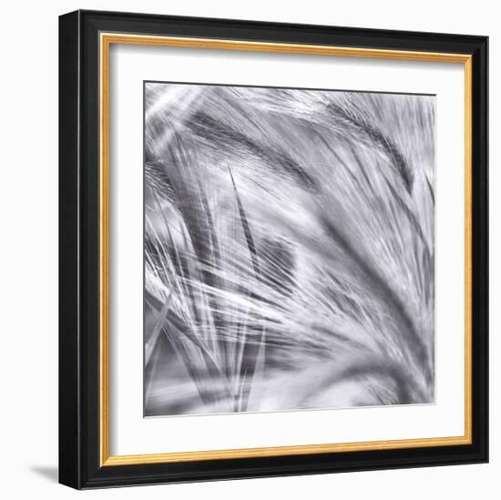 Natural Designs IV-Assaf Frank-Framed Giclee Print