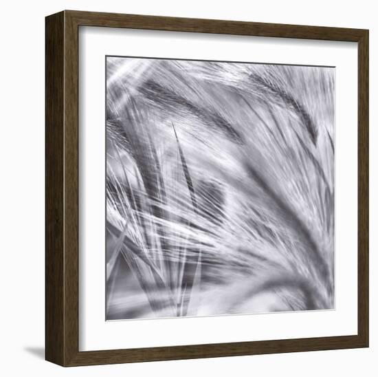 Natural Designs IV-Assaf Frank-Framed Giclee Print