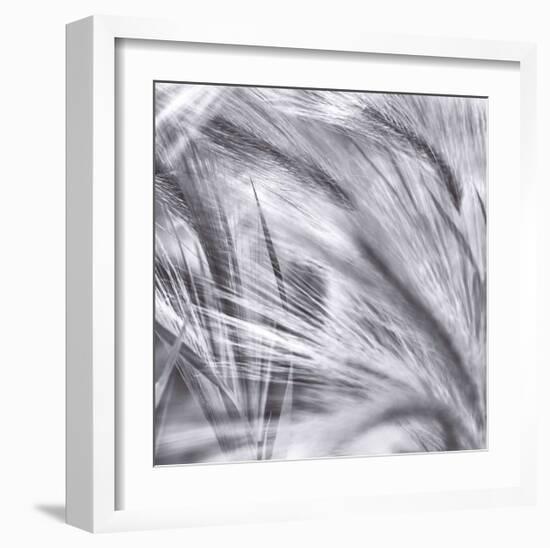 Natural Designs IV-Assaf Frank-Framed Giclee Print