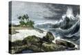 Stretched Canvas Print