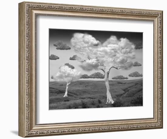 Natural Disorder-Thomas Barbey-Framed Giclee Print