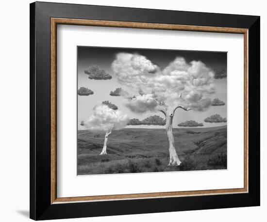 Natural Disorder-Thomas Barbey-Framed Giclee Print