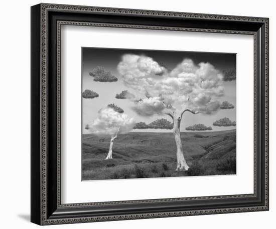 Natural Disorder-Thomas Barbey-Framed Giclee Print