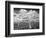 Natural Disorder-Thomas Barbey-Framed Giclee Print