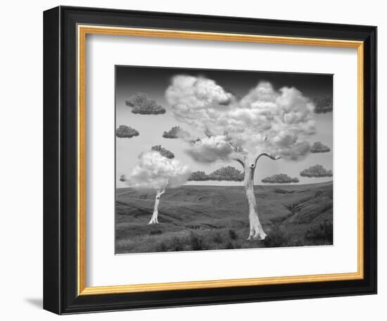 Natural Disorder-Thomas Barbey-Framed Giclee Print