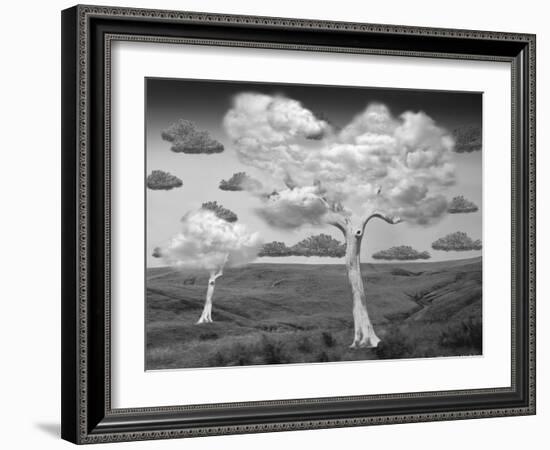 Natural Disorder-Thomas Barbey-Framed Giclee Print