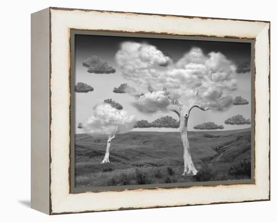 Natural Disorder-Thomas Barbey-Framed Premier Image Canvas