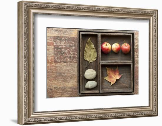 Natural Elements, Collection in the Letter Case-Andrea Haase-Framed Photographic Print