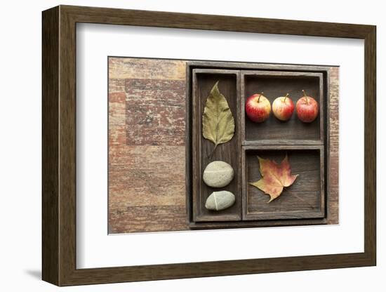 Natural Elements, Collection in the Letter Case-Andrea Haase-Framed Photographic Print