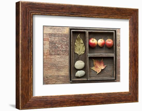 Natural Elements, Collection in the Letter Case-Andrea Haase-Framed Photographic Print