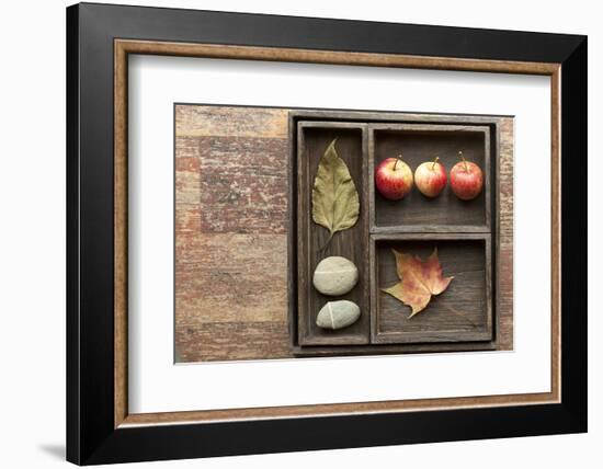 Natural Elements, Collection in the Letter Case-Andrea Haase-Framed Photographic Print