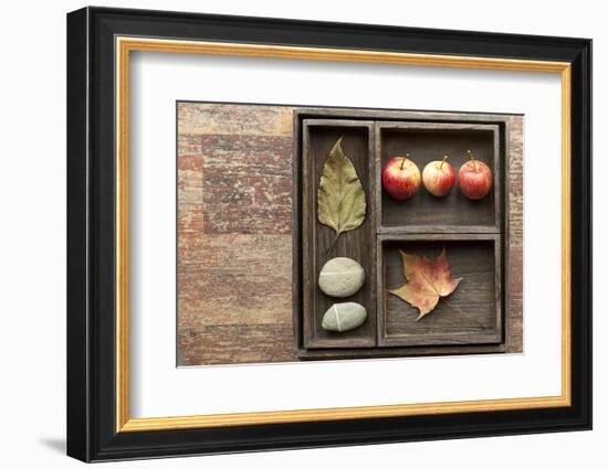 Natural Elements, Collection in the Letter Case-Andrea Haase-Framed Photographic Print