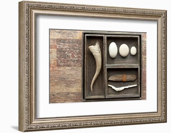 Natural Elements Collection in Type Case-Andrea Haase-Framed Photographic Print