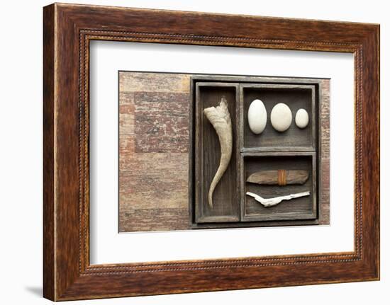 Natural Elements Collection in Type Case-Andrea Haase-Framed Photographic Print