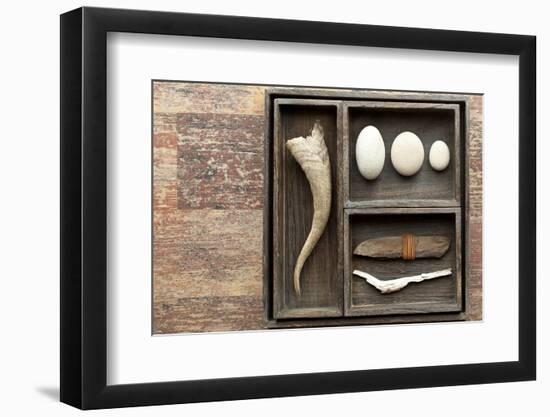 Natural Elements Collection in Type Case-Andrea Haase-Framed Photographic Print