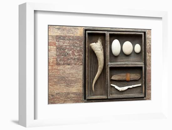 Natural Elements Collection in Type Case-Andrea Haase-Framed Photographic Print