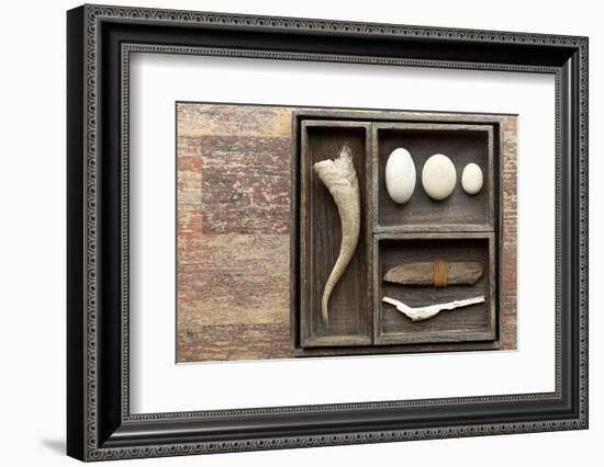 Natural Elements Collection in Type Case-Andrea Haase-Framed Photographic Print