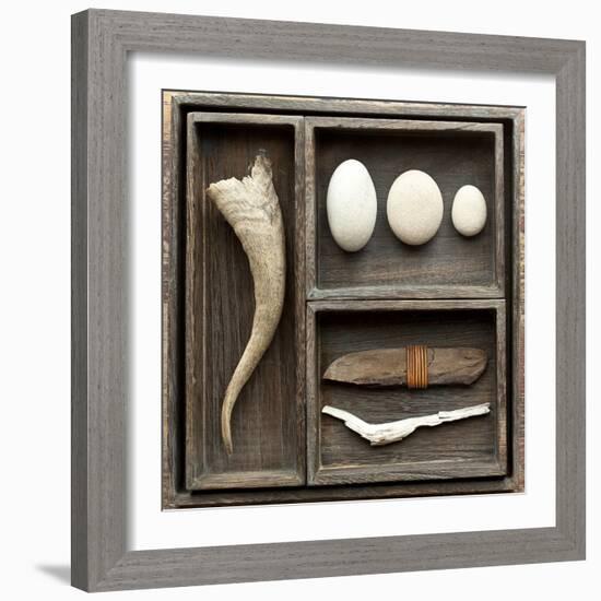 Natural Elements Collection in Type Case-Andrea Haase-Framed Photographic Print