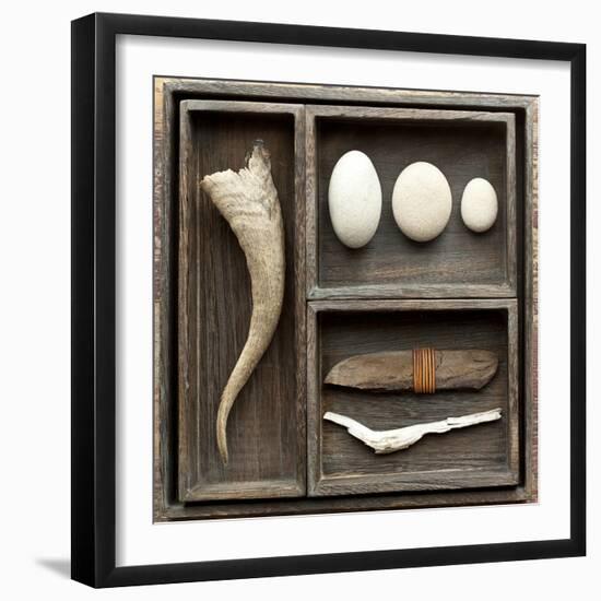 Natural Elements Collection in Type Case-Andrea Haase-Framed Photographic Print