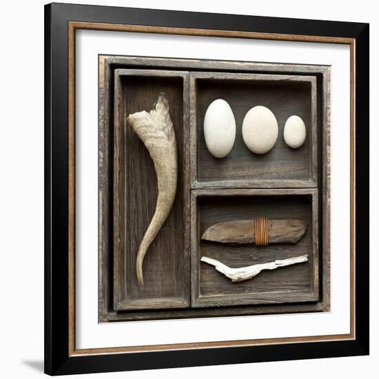 Natural Elements Collection in Type Case-Andrea Haase-Framed Photographic Print