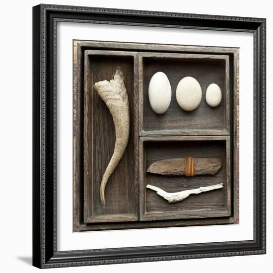 Natural Elements Collection in Type Case-Andrea Haase-Framed Photographic Print