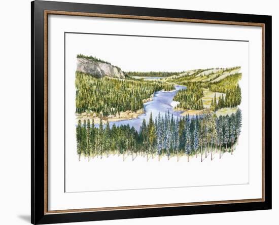 Natural Environments, Taiga-null-Framed Giclee Print