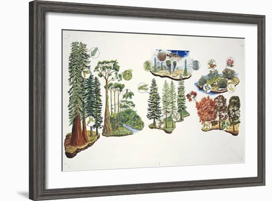 Natural Environments-null-Framed Giclee Print