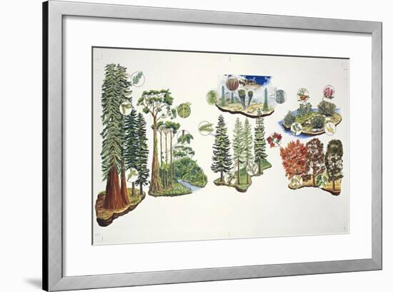 Natural Environments-null-Framed Giclee Print